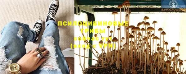 гашик Армянск