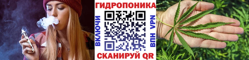 Конопля Ganja  Светогорск 